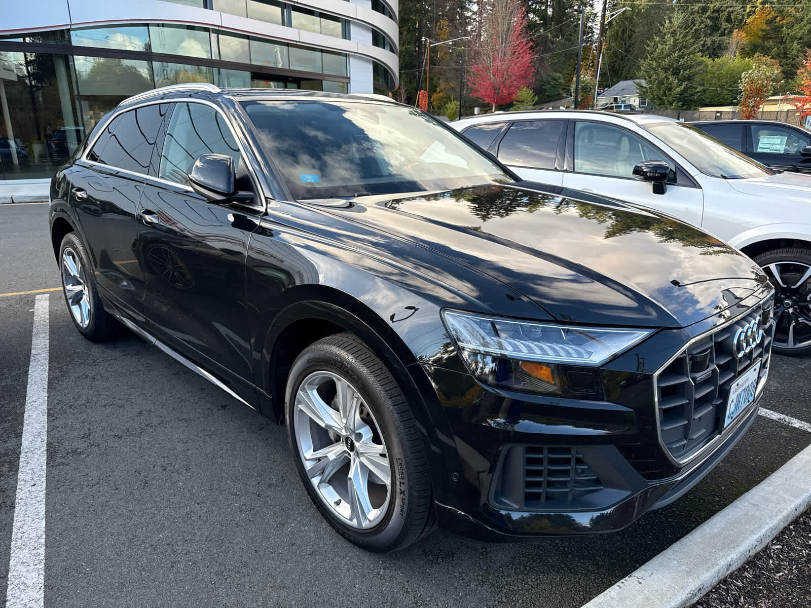 2023 Audi Q8 Premium