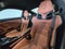 2024 Porsche 911 S/T